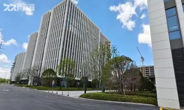 松江九亭总部研发办公出租出售，246平起售