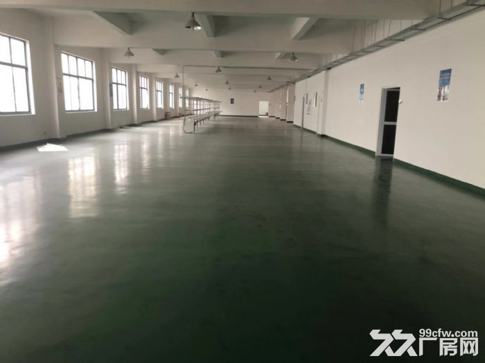 西渡原房东直租600平环氧地坪无公摊