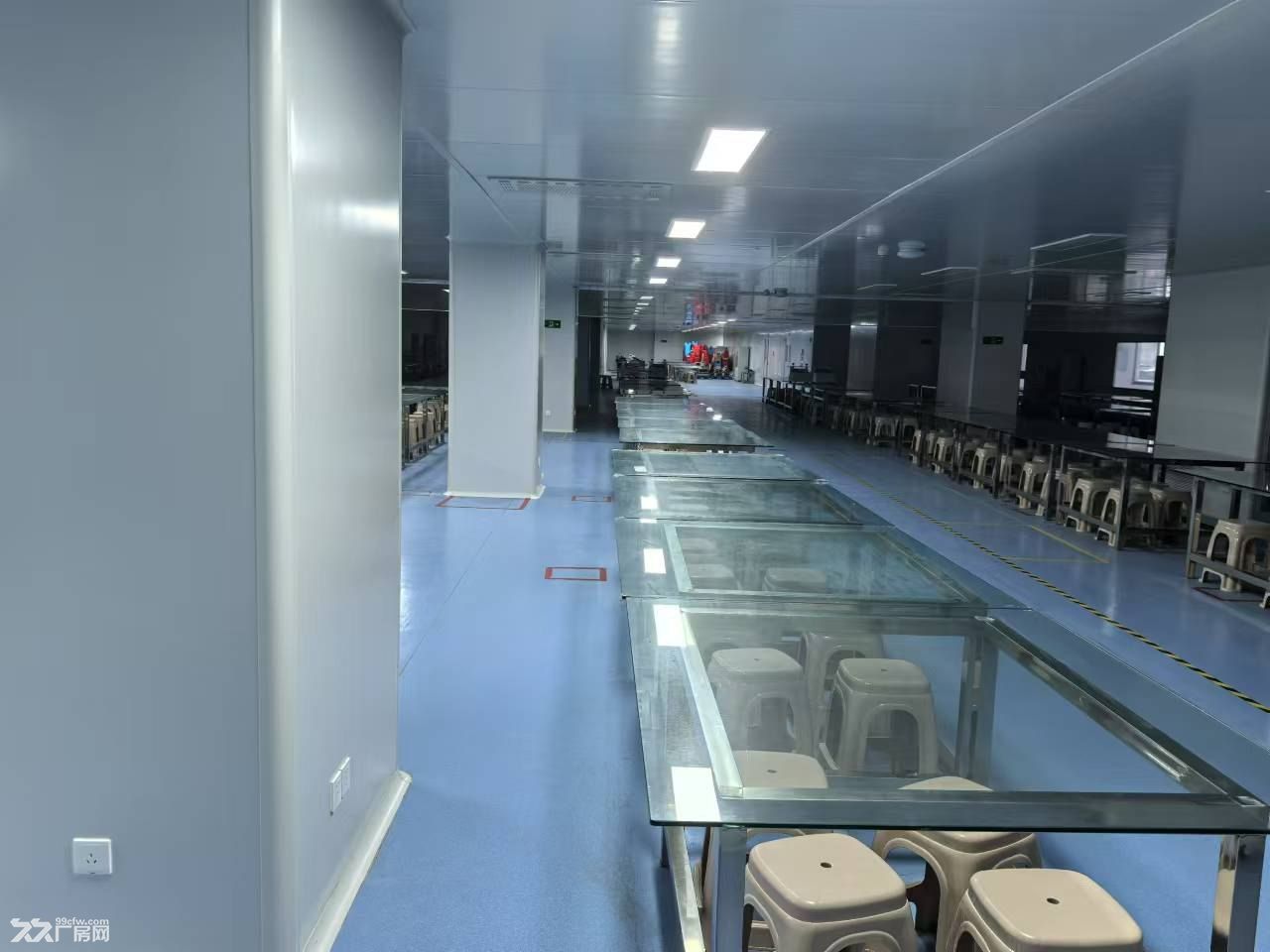 东湖高新区光谷七路4660㎡十万级无菌洁净车间直租 - 8