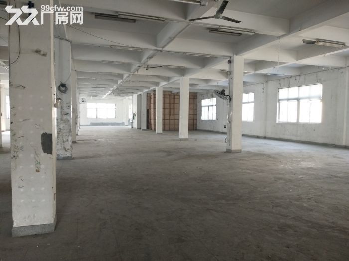 梧田标准厂房1楼1200，层高5米