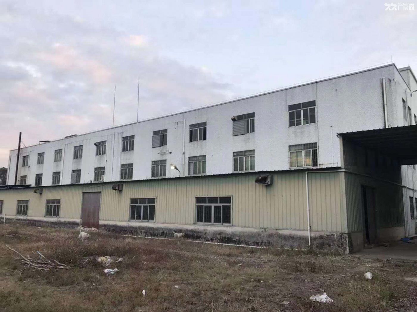《《合》》水口龙湖独院厂房3000平方出租 - 4