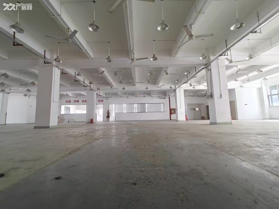 深圳石岩村委厂房直租0公摊 - 4