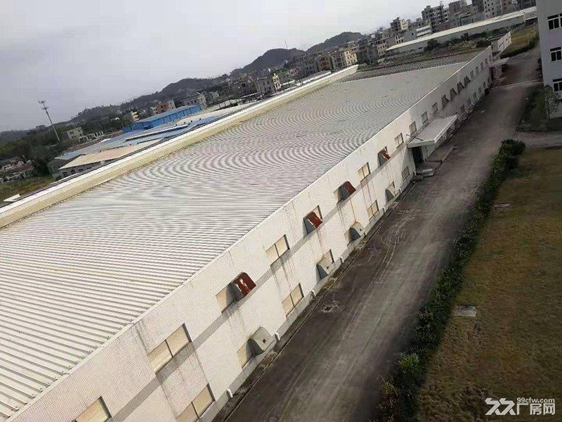 惠城区马安附近新空出钢构厂房2500平方便宜出租 - 4