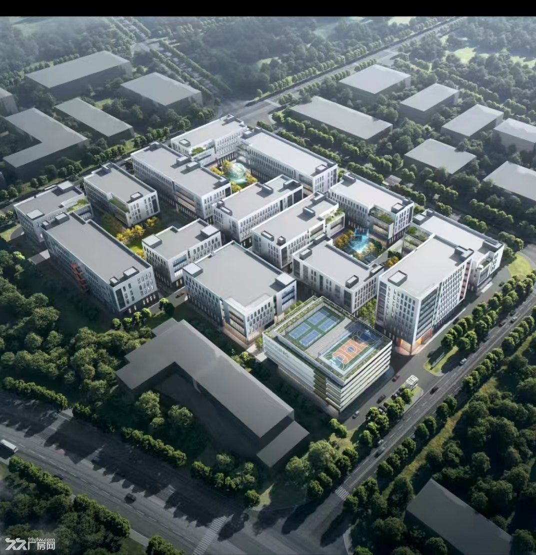 吴江新建厂房 单一楼出售1500平，层高8米 先到先得
