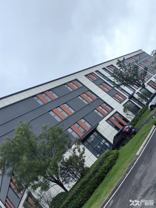 层高10米,荷载10T,大产权,可以办证的 - 2
