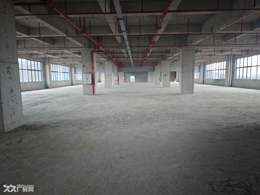 博罗全新7000㎡独栋厂房 - 6
