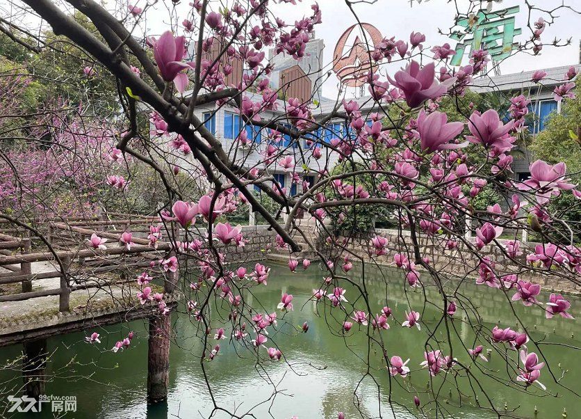 奉化市中心停车洗车充电配套的办公餐饮休闲仓储物流等场所出租 - 5