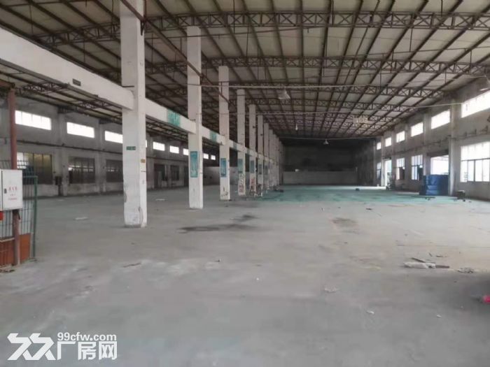 江门蓬江荷塘独院单一层厂房1000至5000平方分栋出租 - 2