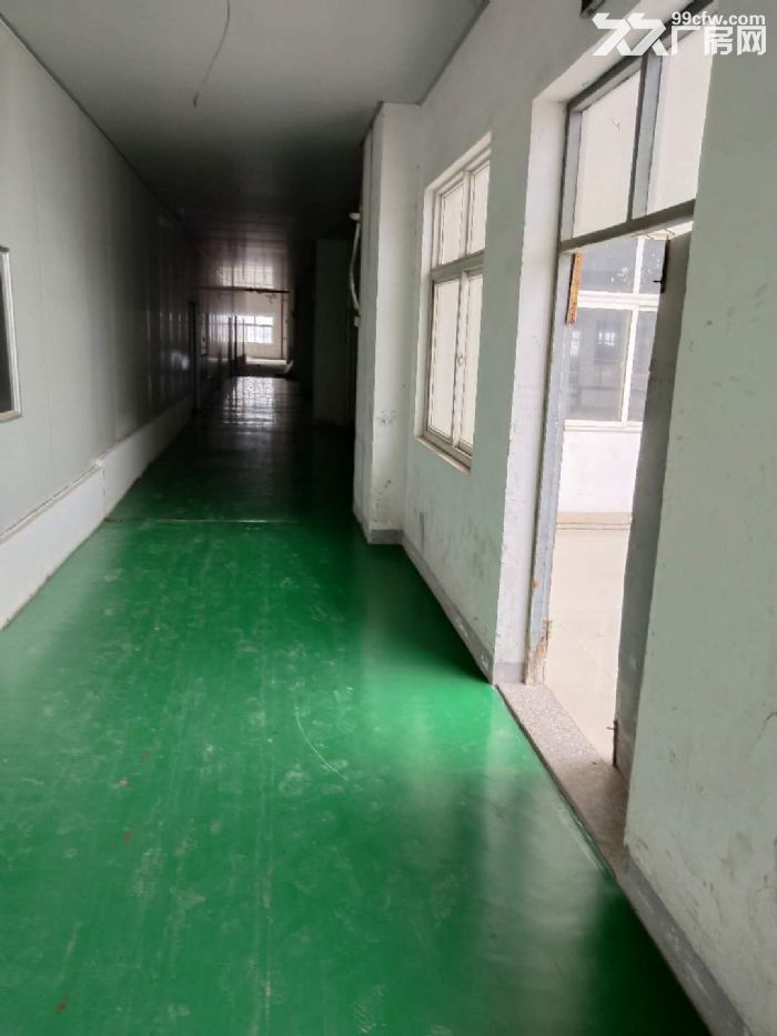 出租翔安马巷舫阳西路4楼5000平,10元一平全包
