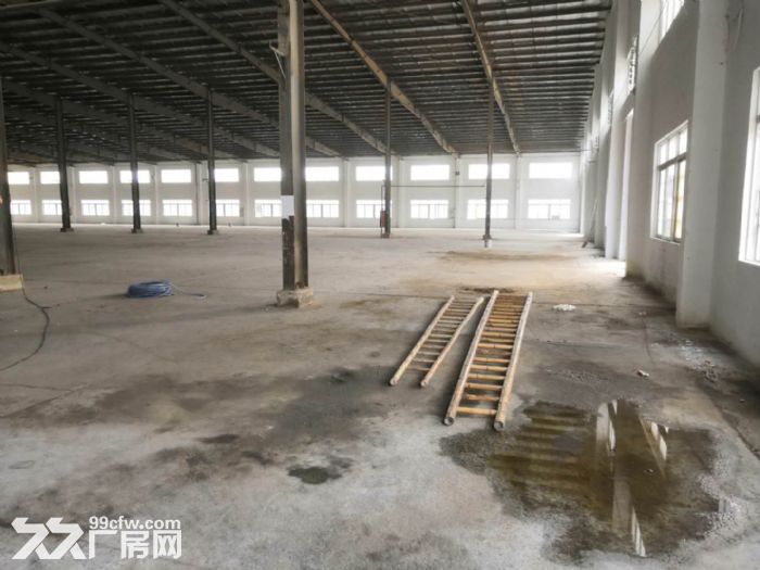 台山二类工业用地有排污指标厂房9000平方出租 - 5