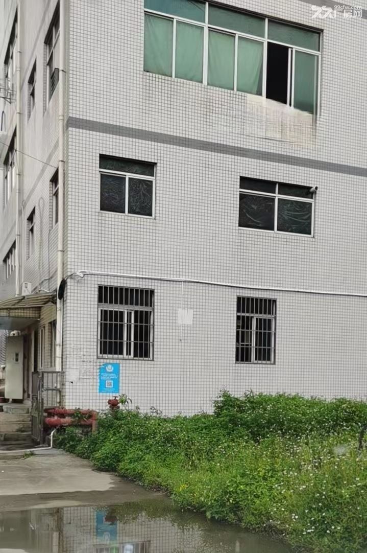 珠海金湾红旗独栋厂房4000平方出售1400万 - 2