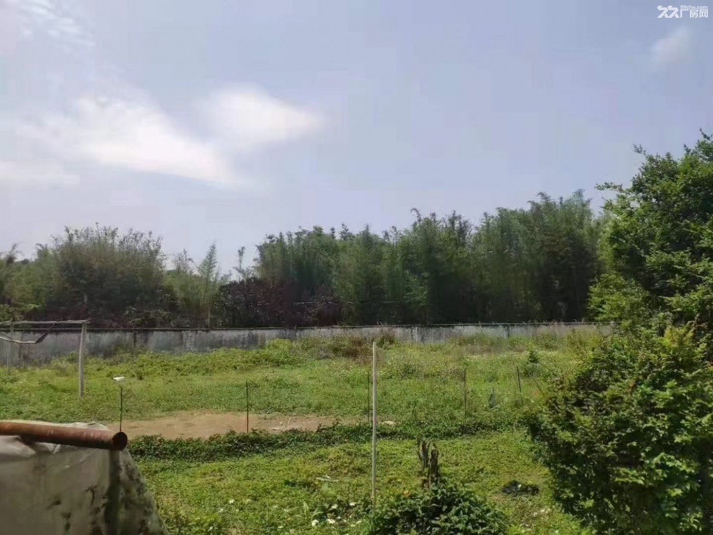 原房东出租出售独门独院工业厂房 - 6