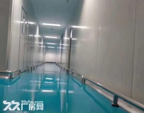 花都新华镜湖新出厂房1500平,可做化妆品,空地超大，车位充足 - 3