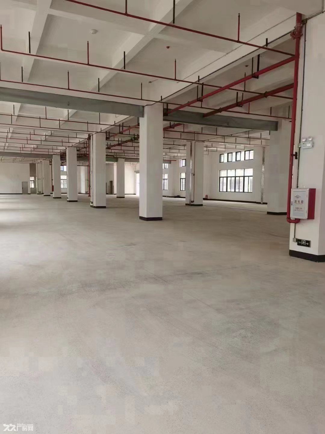 《《合》》惠州三栋红本独门独院厂房招租 - 5