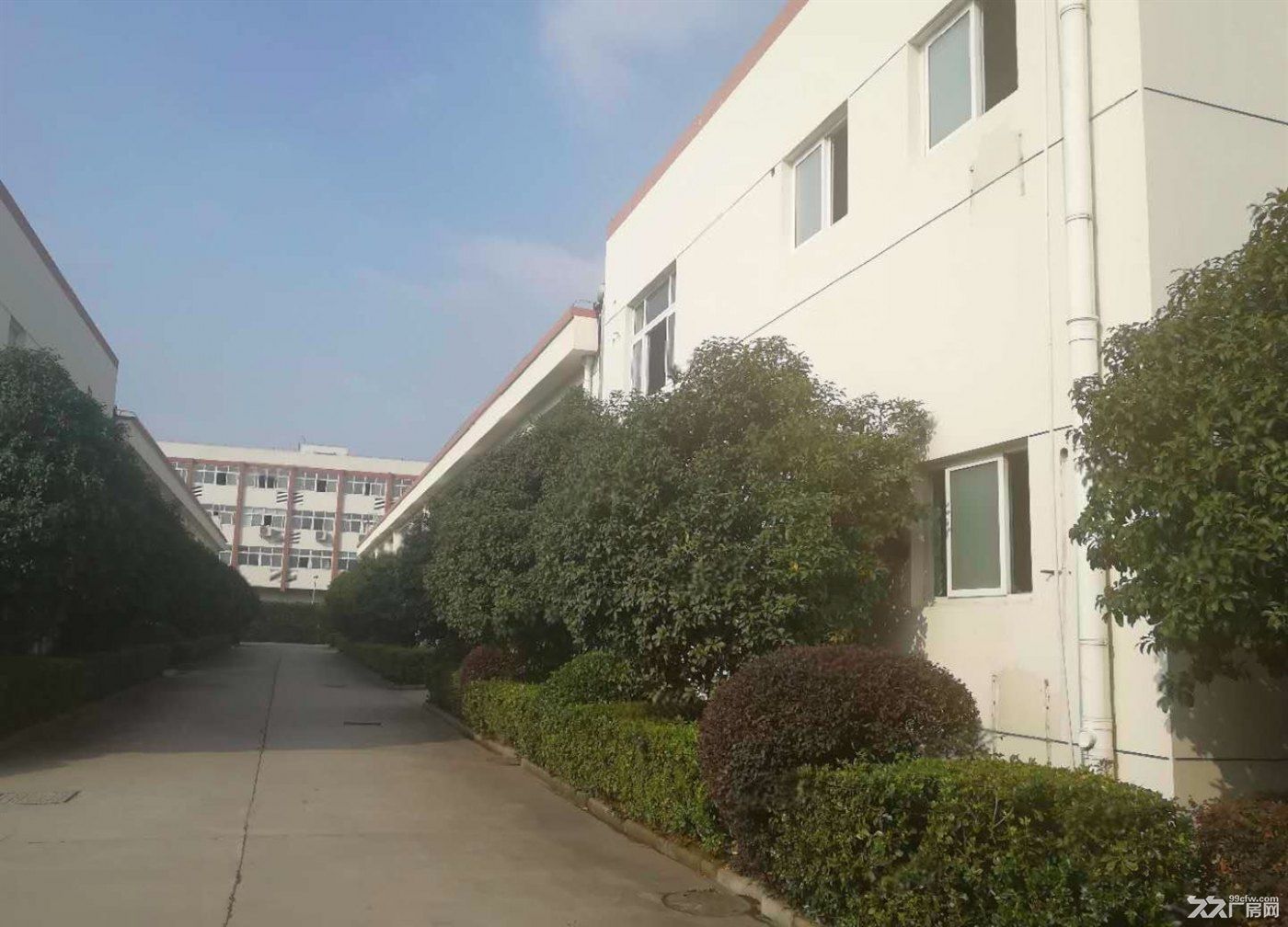 物业出租:百安路厂房仓库9000独门独院形象好可分租1000到2000 - 5