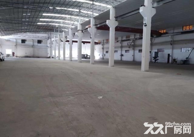 南海罗村单一层钢结构厂房1500平，超大空地，可办环评