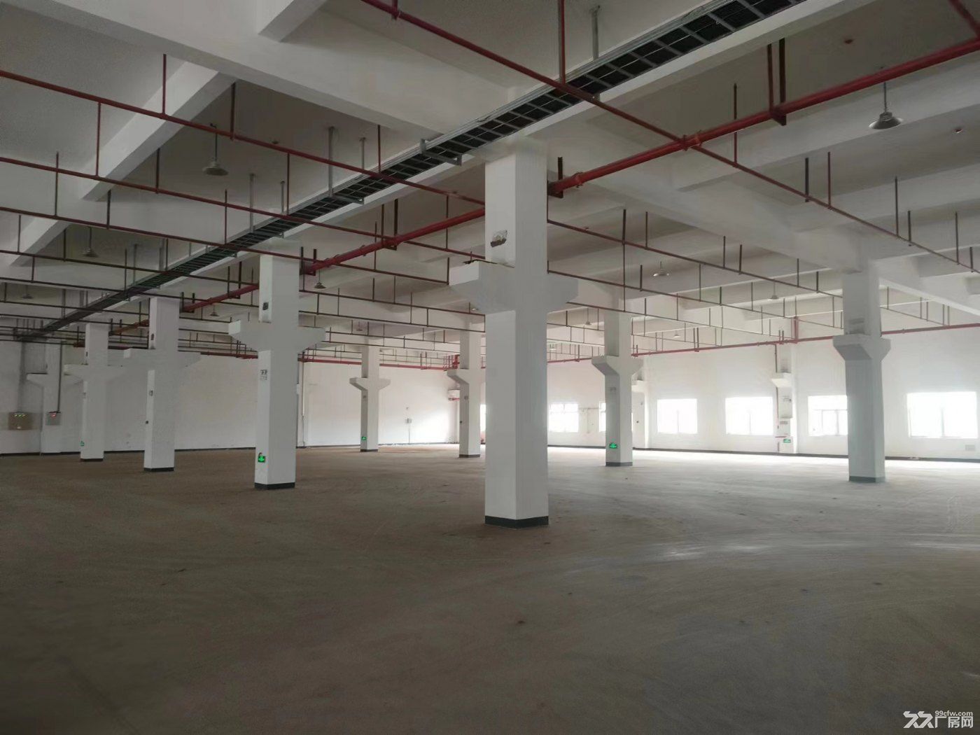 巴南界石标桩园区厂房出租 - 3