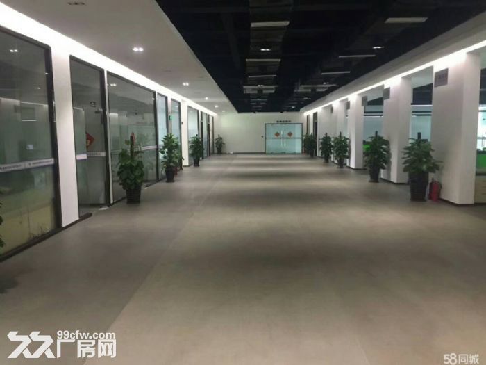 平湖华南城大型工业区红本厂房20000平方厂房出租,消防环保手续齐全!带装修,大 - 4