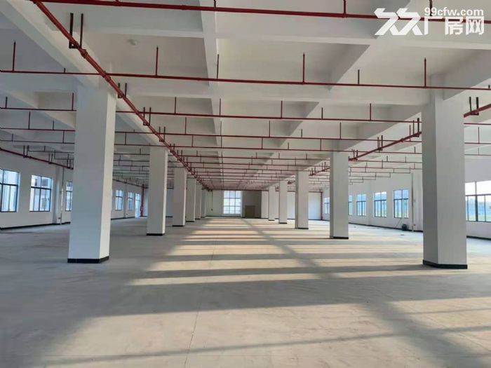 惠州市水口大型工业区标准一楼1700平方低价出租 - 3