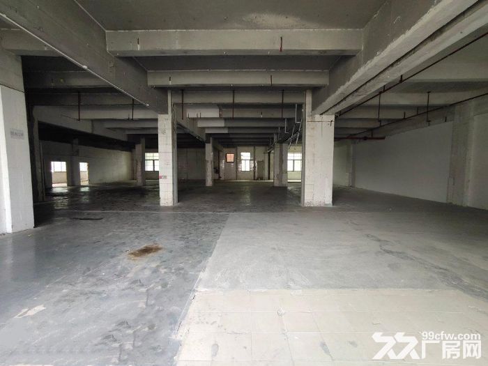 塘厦科苑城新出标准一楼厂房1200㎡,现成办公室,低价甩租 - 3