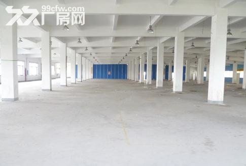 一楼500至1000平厂房,适配送仓储电商外贸售后等 - 6