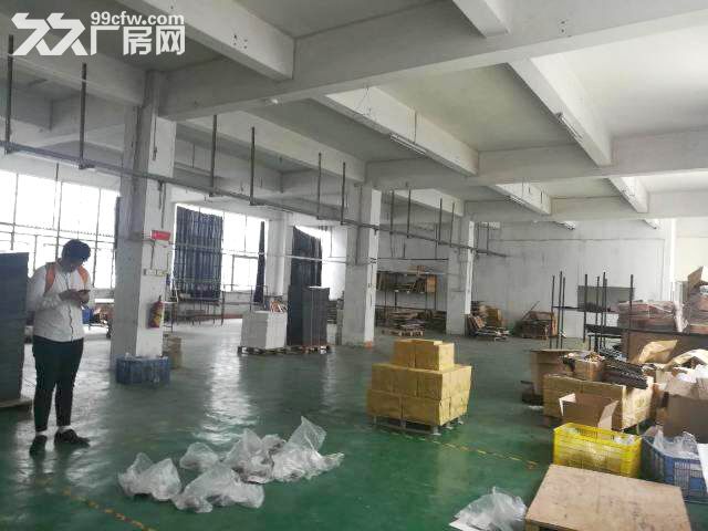 白云太和永兴工业园区独院一楼厂房1450方,原房东,适合五金、注塑