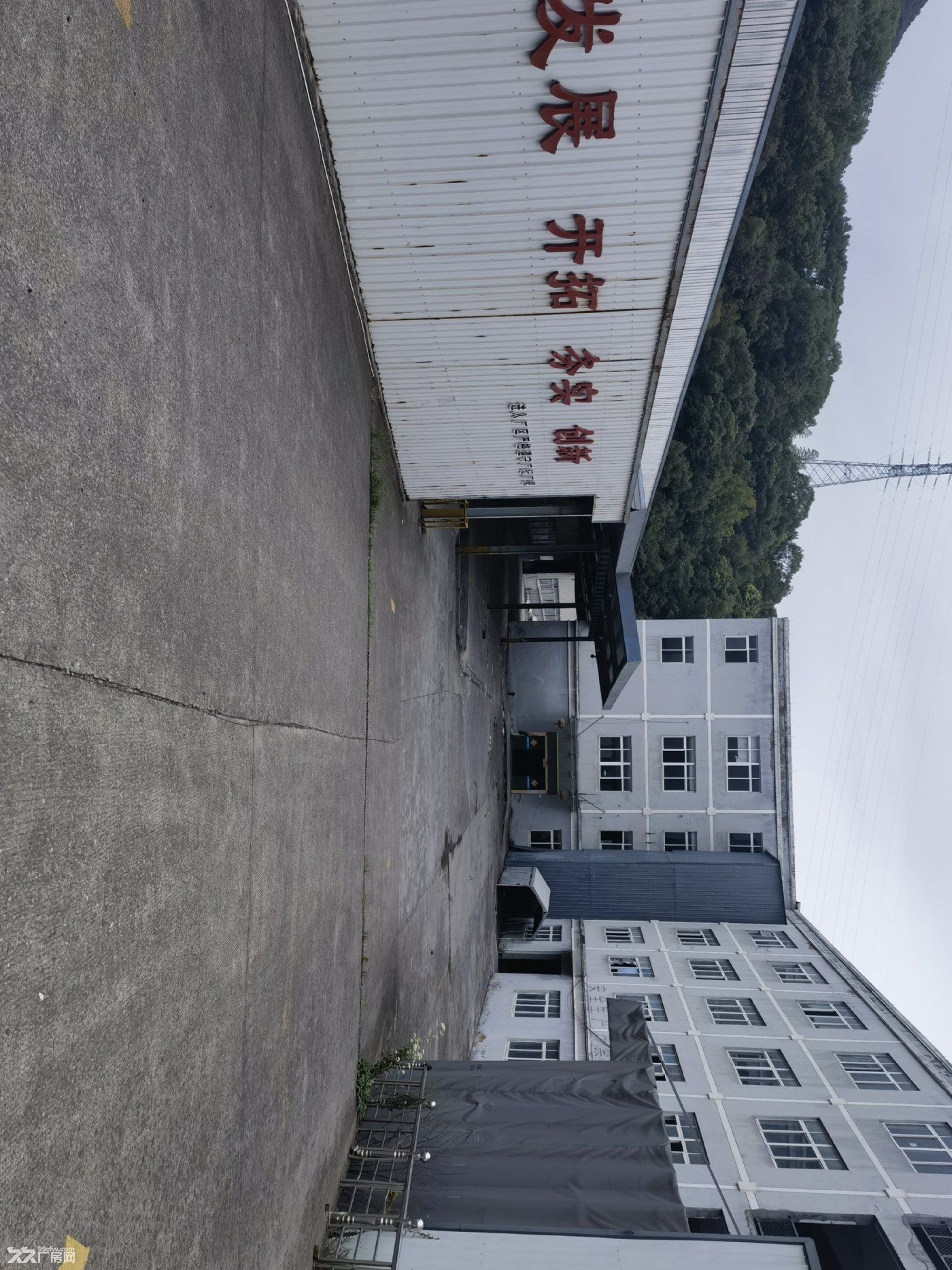萧山国道西100米独门独院厂房出租 - 5