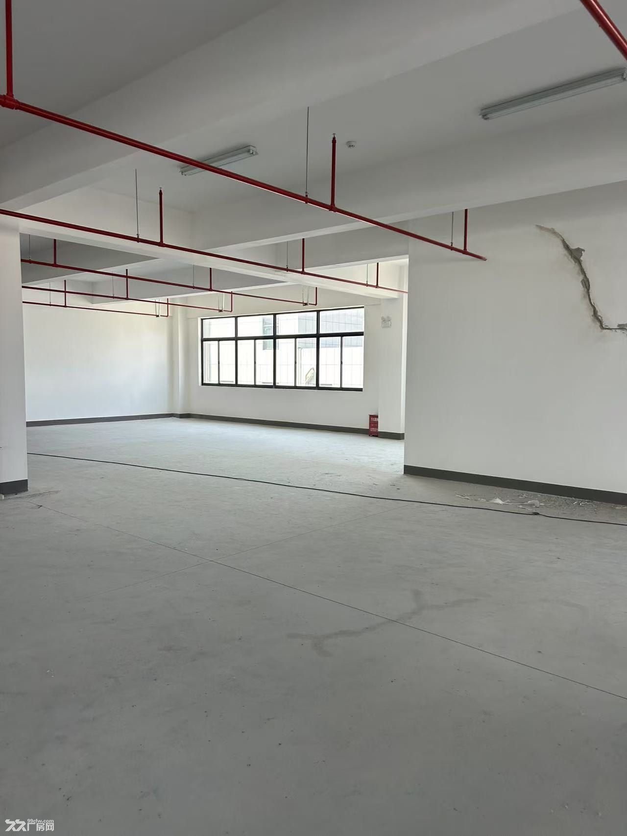 出售 独栋厂房 2000平 可环评 按揭 - 6