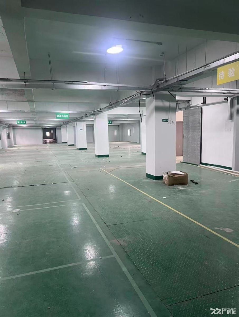 。南翔陈翔路88号厂房大减价大车好进出大小好分割 - 7