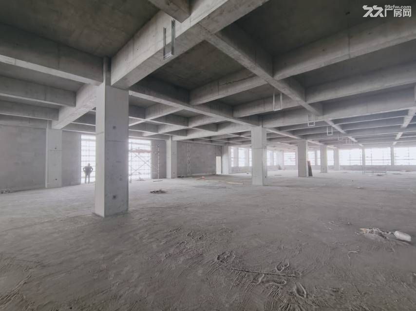 江北洪塘全新厂房出租1700-35000㎡ - 3
