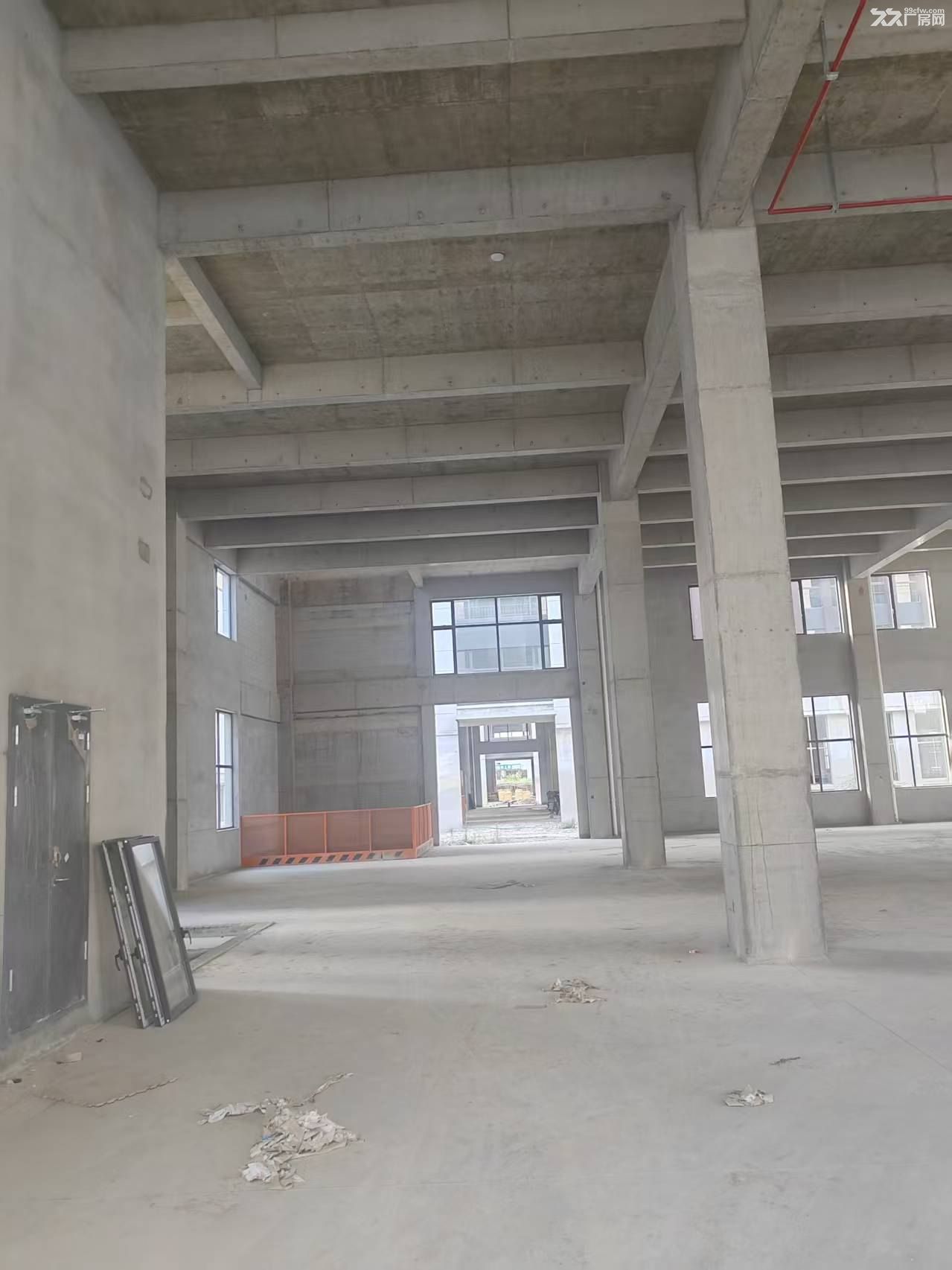 长海公路沿线全新厂房出租出售独门独栋1000平起