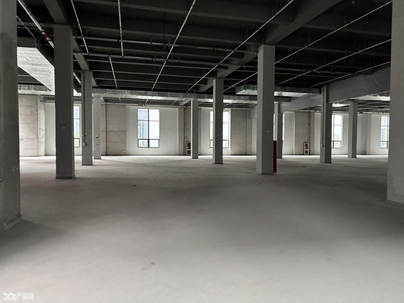 曹路104板块新建全新厂房，大房东直租 - 6