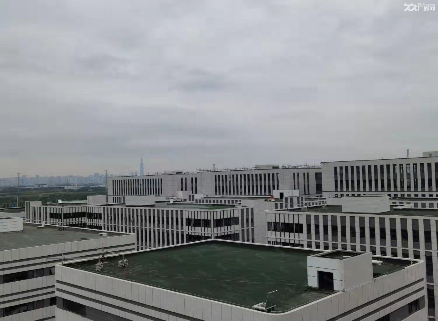 天府新区园区式厂房 可租可售 - 5