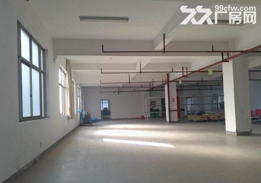 1400方厂房出租，仓库电商的理想之地 - 5