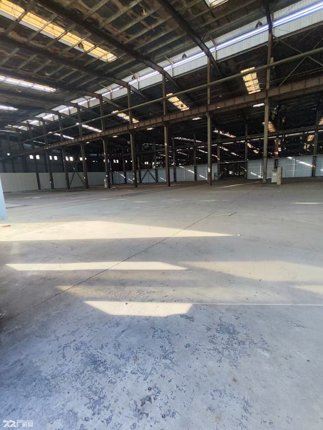 光谷一路一楼厂房实心地出租 - 3