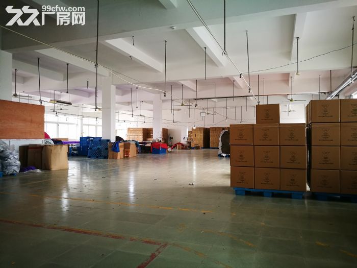 奉贤四团104板块厂房出租 - 5