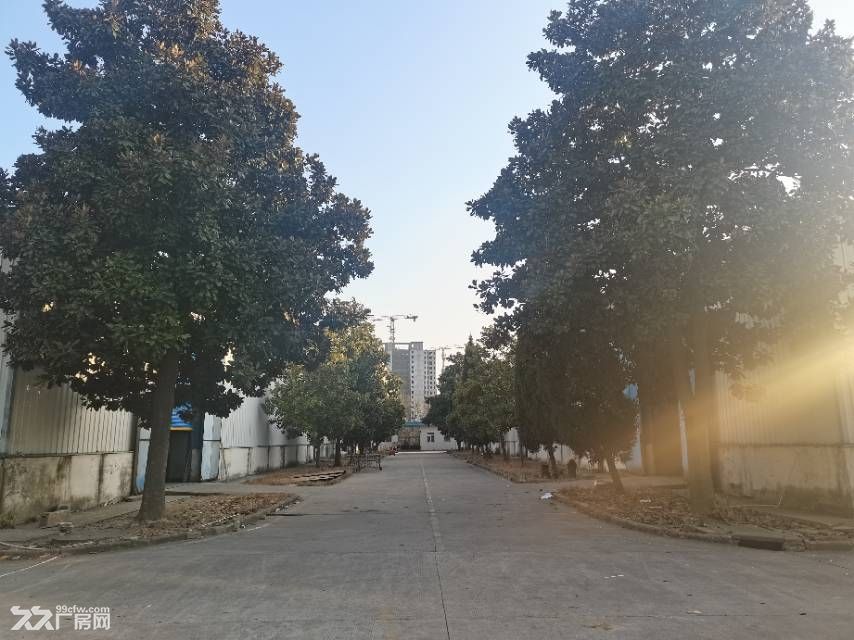 庐阳区钢结构厂房3500平可分租