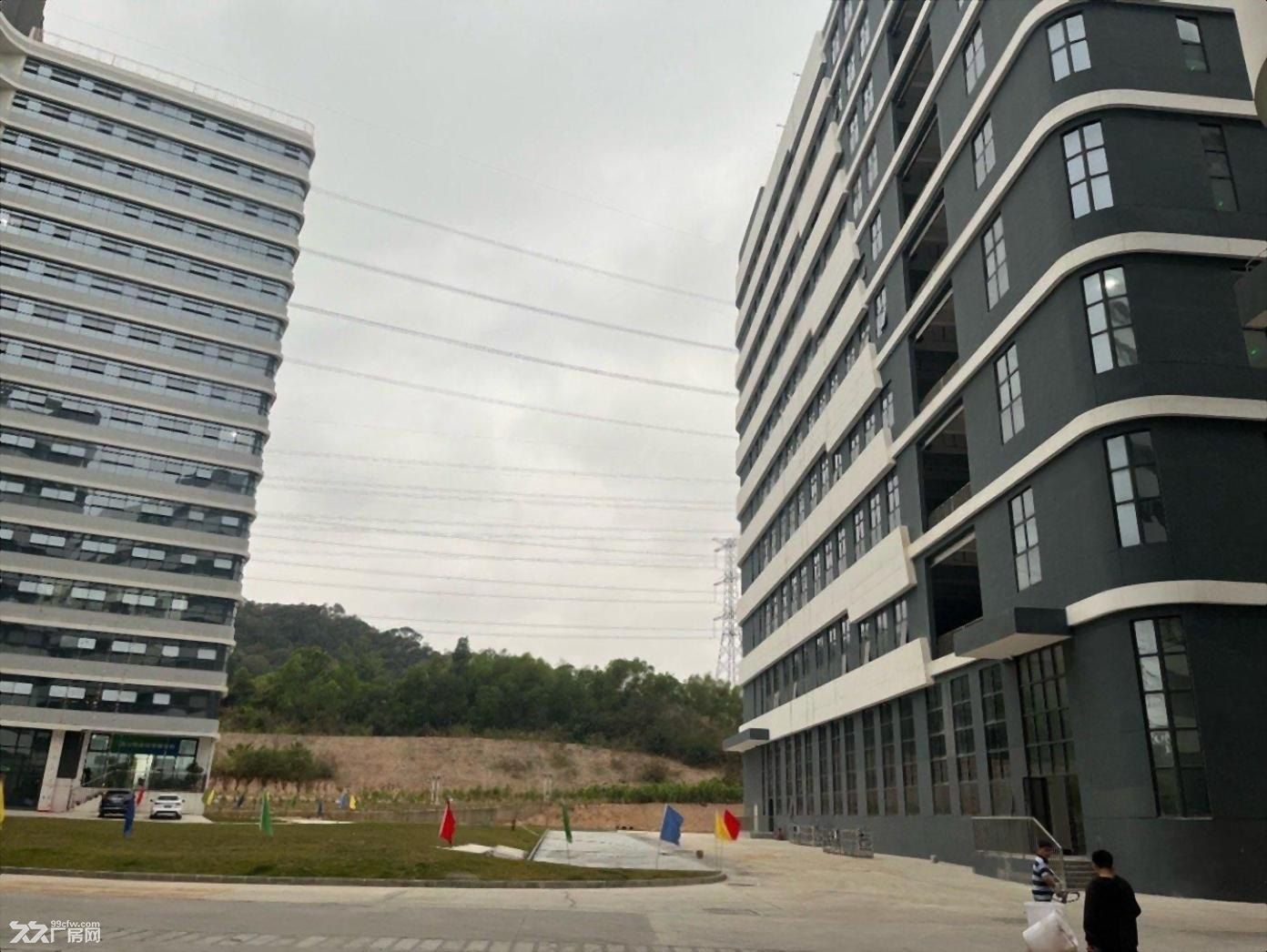 深圳宝安科技园全新红本工业用地厂房研发楼现房300平售起 - 2