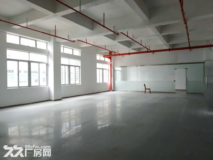 石岩黄峰林工业区创新园 独独院60000平 一手使用率 直租 - 8