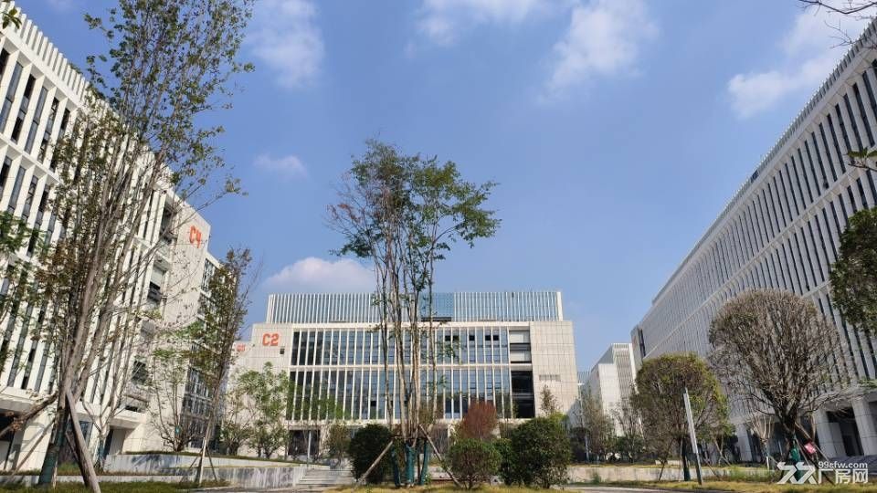 达州高新区厂房全新直租 - 6