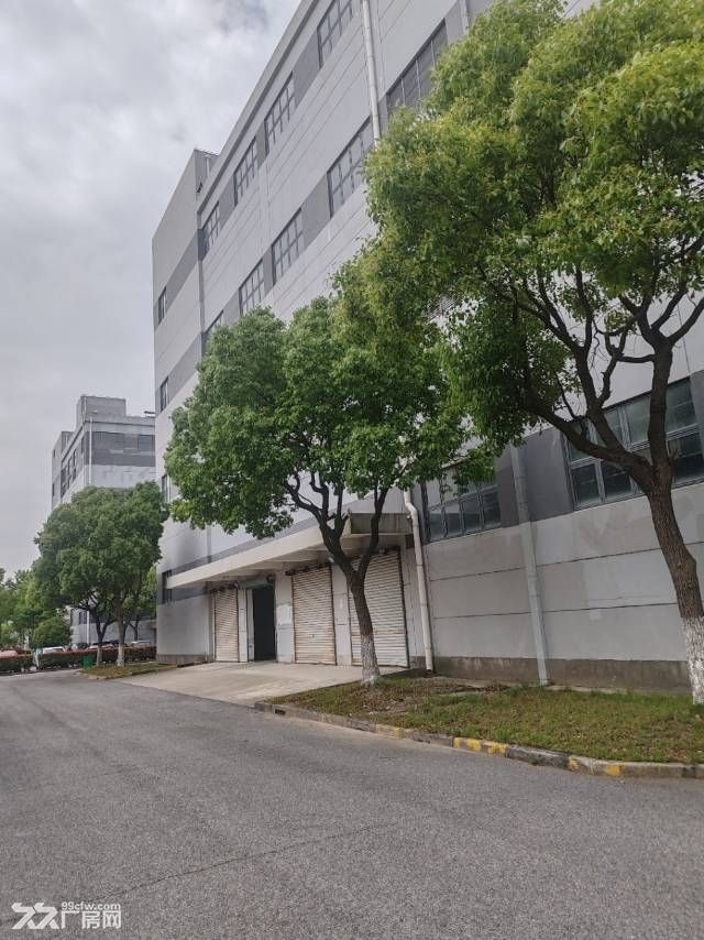奉贤104地块7万多厂房出租 - 6
