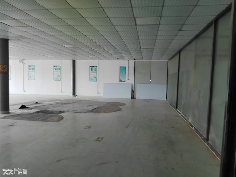 黄埔区云埔办公厂房出租 - 2