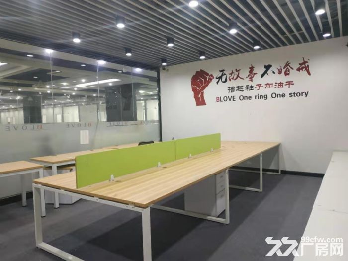 西丽龙井地铁口 外贸优选地1500平私  一手业主直租 - 3