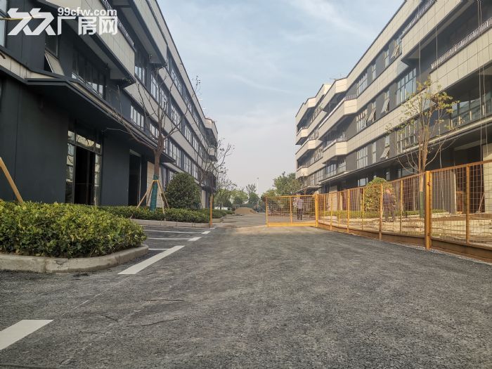 平湖稀缺小户型厂房出售2380平标准厂房可注册可环评 - 3