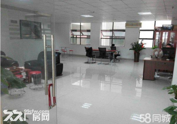 龙岗盛平工业园300平米至1200平米出租 - 4