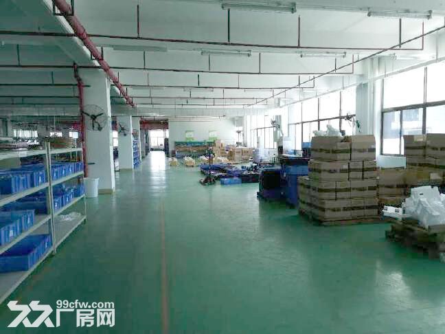 坪山坑梓独栋花园厂房5000平出租，可分租，近高速，带办公区 - 8