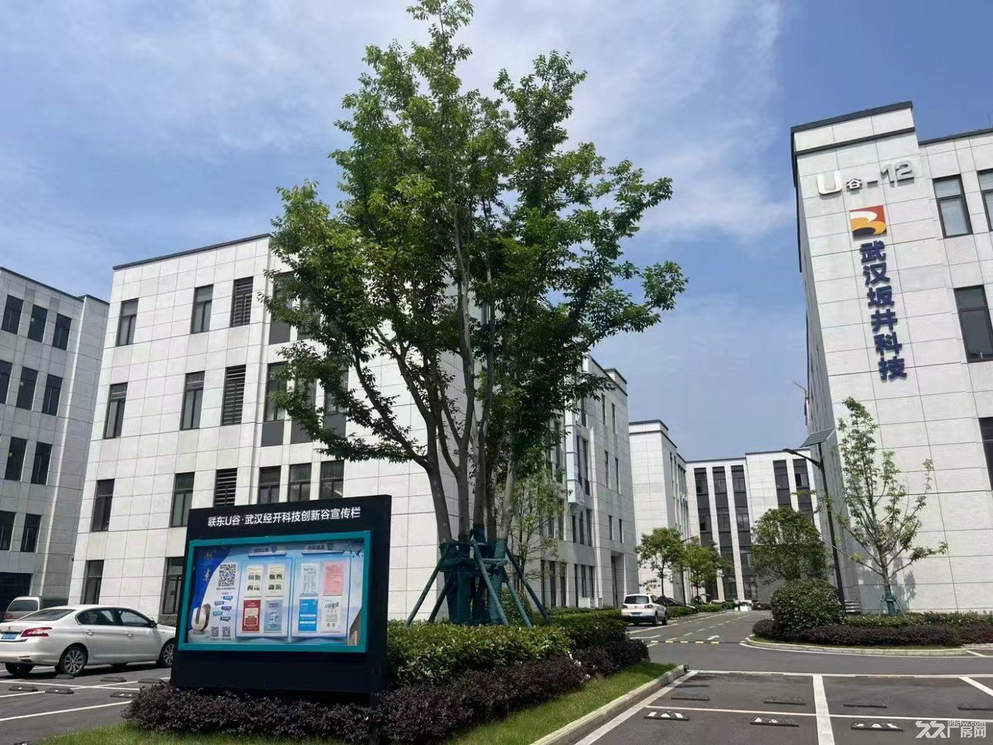 东莞凤岗1200㎡-28000㎡ 独栋、大平层厂房出售 - 4
