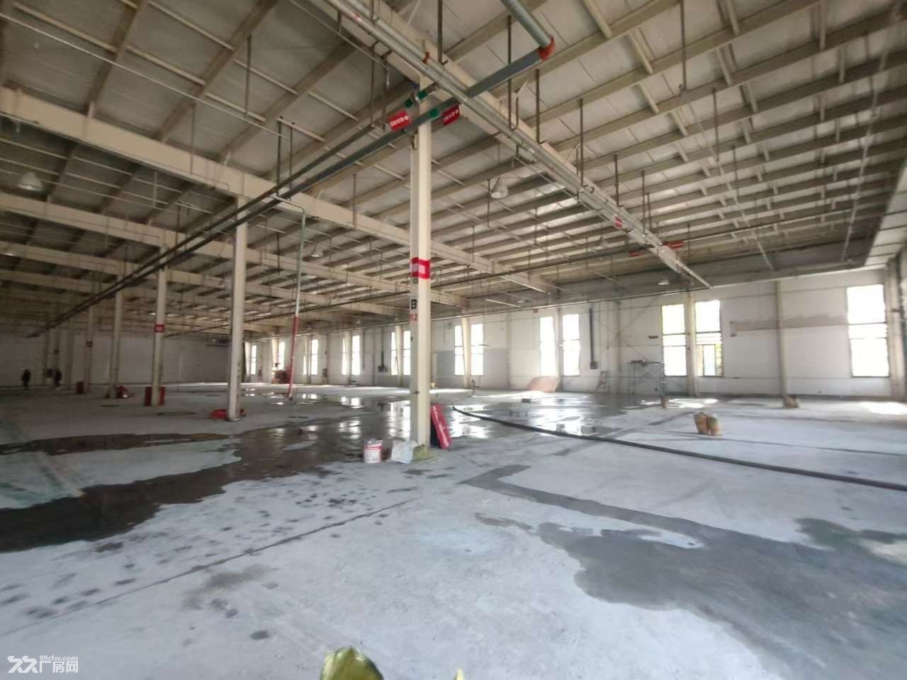 独栋江宁九龙湖地铁口1楼3000平高度12米丙二类消防 - 2
