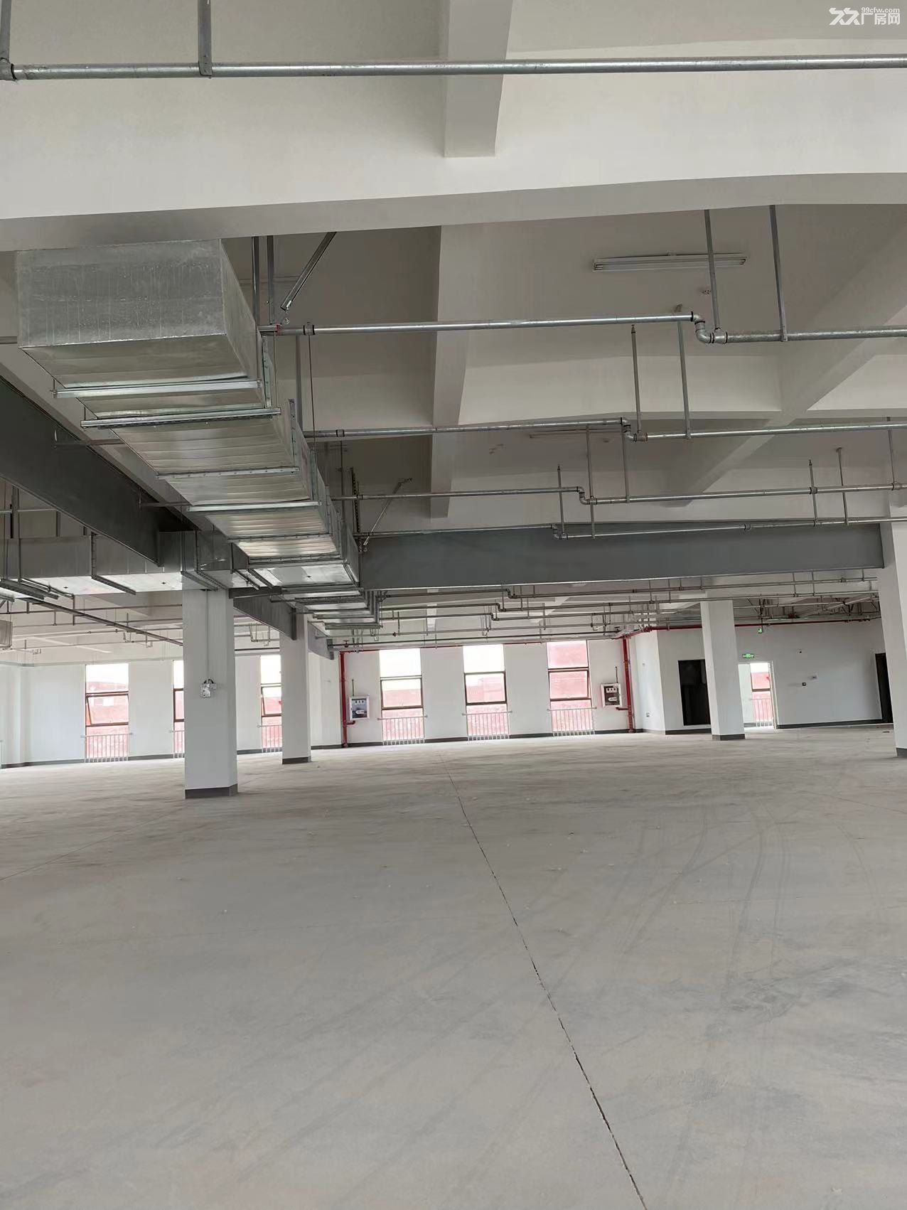 永兴厂房出租20000m² 可分租 - 7