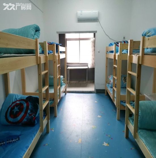 天鹅湖大道厂区门面、食堂、办公楼、宿舍楼出租 - 5